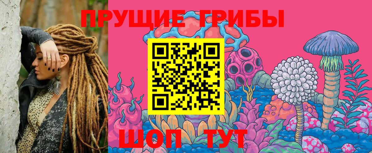 Галлюциногенные грибы GOLDEN TEACHER Аша
