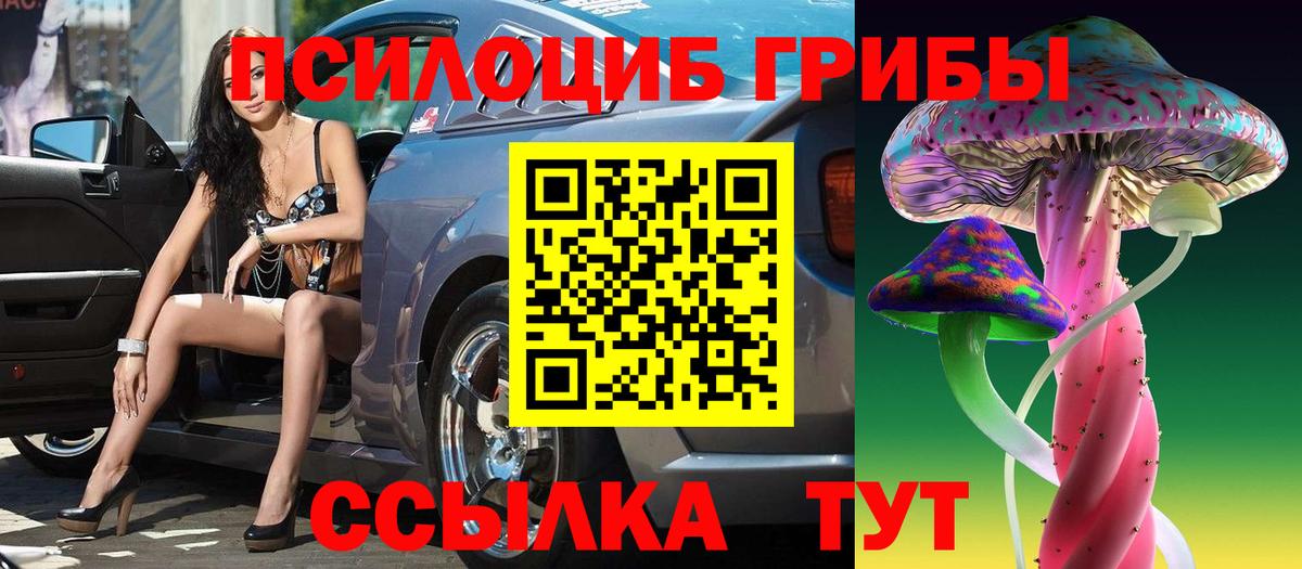 Галлюциногенные грибы Psilocybe  Галлюциногенные грибы мицелий  Аша  Вход с VPN 